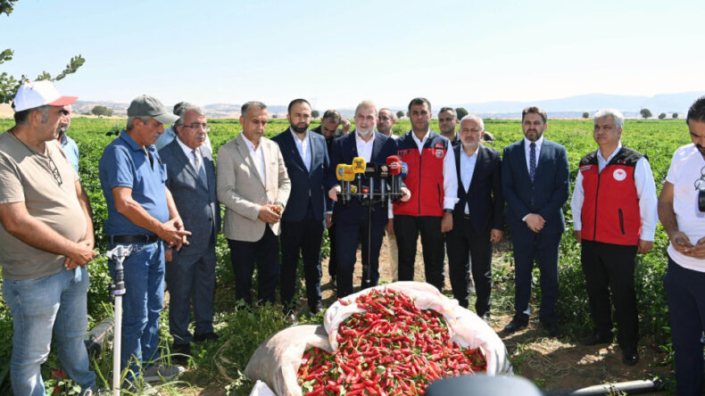 Başkan Görgel: “Coğrafi İşaretli Maraş Biberimizin Hasadı Bereketli Olsun”