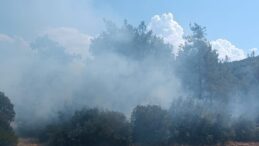 Andırın’da orman yangını büyümeden söndürüldü