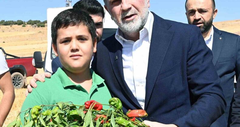 Başkan Görgel; “Coğrafi işaretli Maraş biberimizin üretimi 30 bin tona ulaştı”
