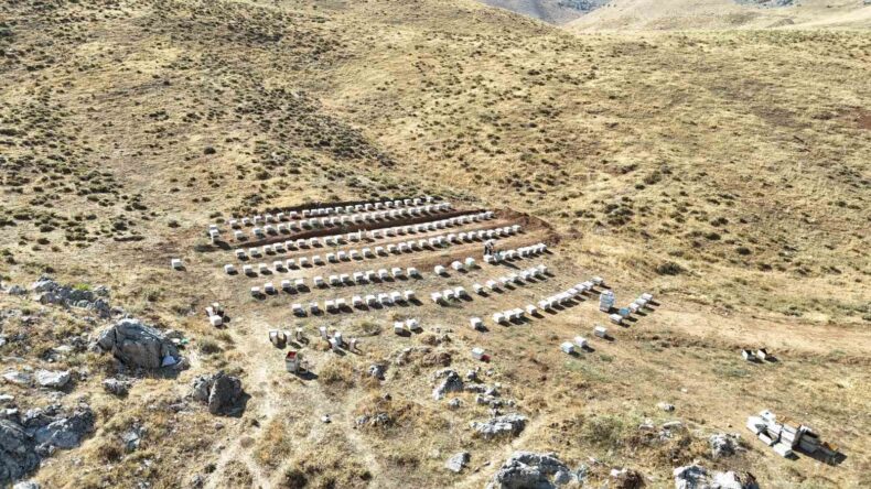 Nurhak’ın Tahtalı Yaylası’nda bal sağımı
