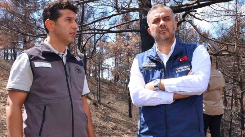Kahramanmaraş’ta yanan ormanlık alanlar fidanlarla buluşturulacak