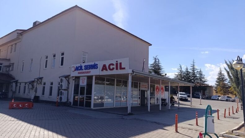 Kahramanmaraş’ta arının soktuğu çocuk hayatını kaybetti