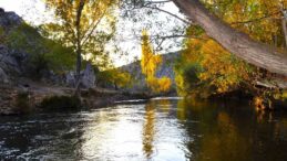 Kahramanmaraş’ta kartpostallık sohbahar manzarası