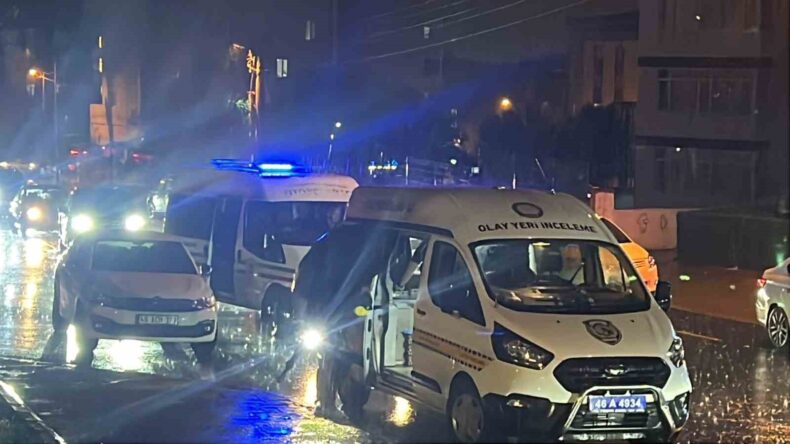 Eski eşi ve kayınvalidesini öldürüp kendini vuran şüpheli de hayatını kaybetti