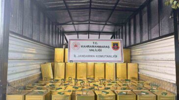 Kahramanmaraş’ta 200 teneke sahte zeytinyağı ele geçirildi