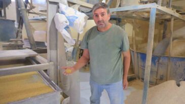 Taş değirmenler zamana direniyor