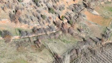 Nurhak’ta yaban domuzu avı yapıldı