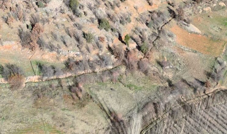 Nurhak’ta yaban domuzu avı yapıldı