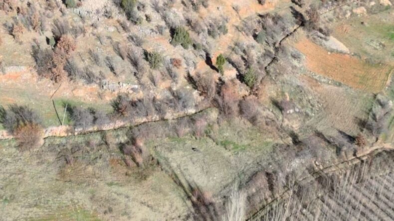 Nurhak’ta yaban domuzu avı yapıldı