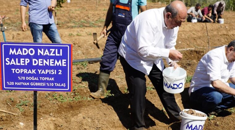 MADO’dan Salebe Kültürel ve Sürdürülebilir Vizyon: “Salep Manifestosu”