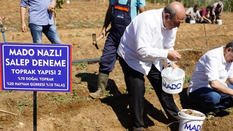 MADO’dan Salebe Kültürel ve Sürdürülebilir Vizyon: “Salep Manifestosu”